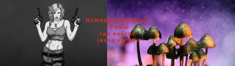 магазин  наркотиков  Крым  Псилоцибиновые грибы Magic Shrooms 